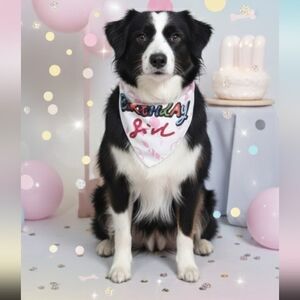 🐾Birthday Girl Scarf